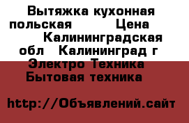 Вытяжка кухонная польская Hansa › Цена ­ 3 500 - Калининградская обл., Калининград г. Электро-Техника » Бытовая техника   